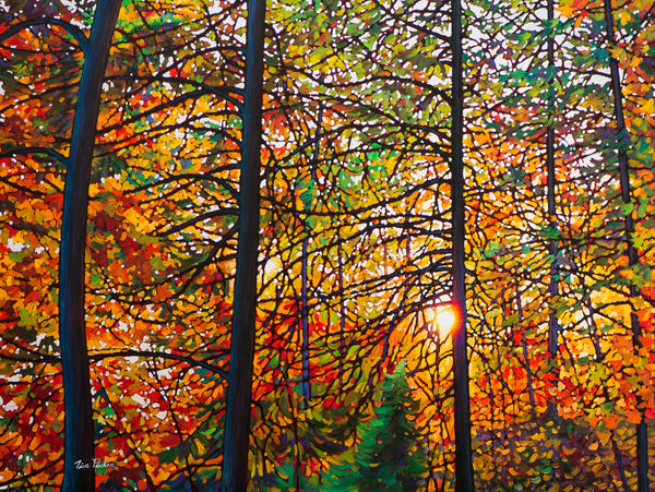 Afternoon Light, Algoma Forest 36" by 48"