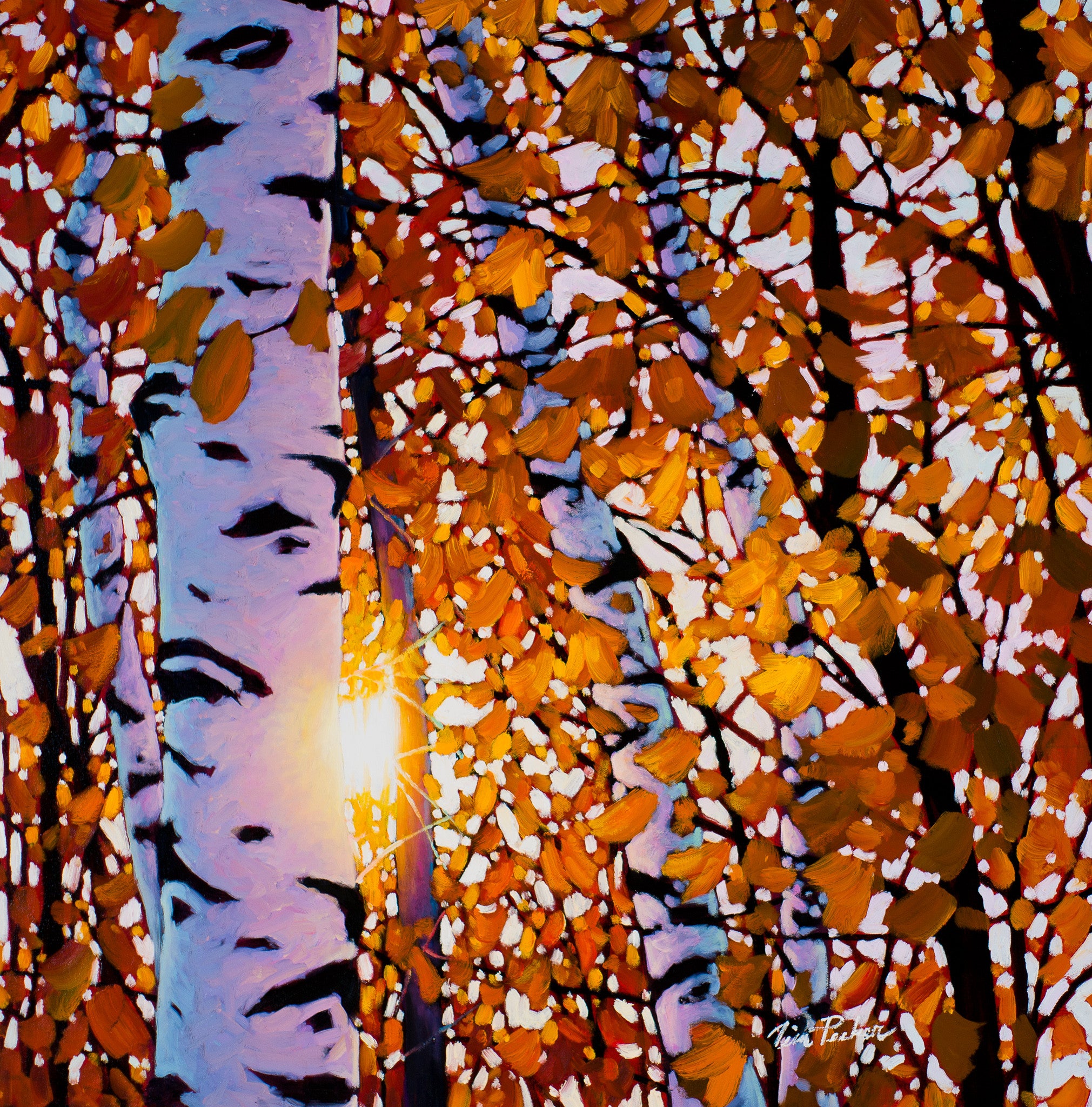 Tim Packer Medium Limited Edition Giclees