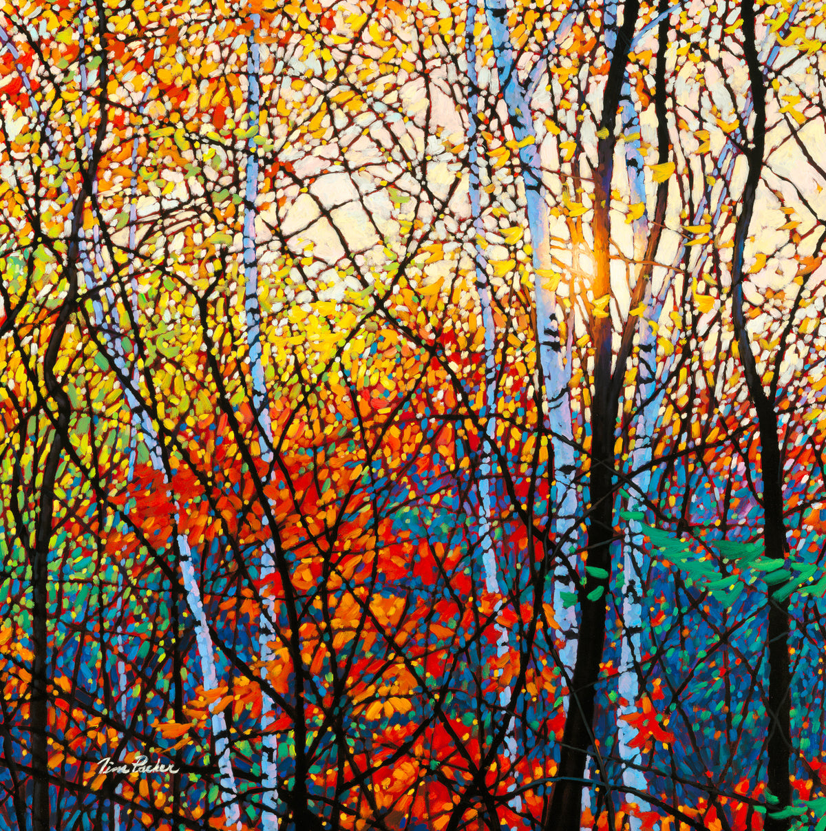 All Tim Packer Limited Edition Giclees