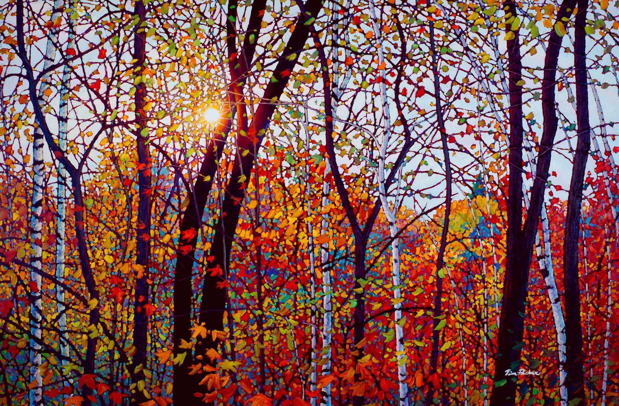 Tim Packer Large Limited Edition Giclees