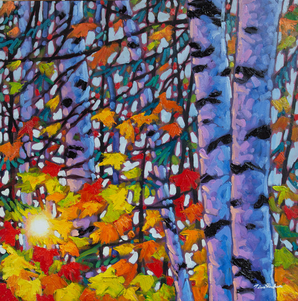 *ORIGINAL OIL* Birch Bonanza 24" by 24"