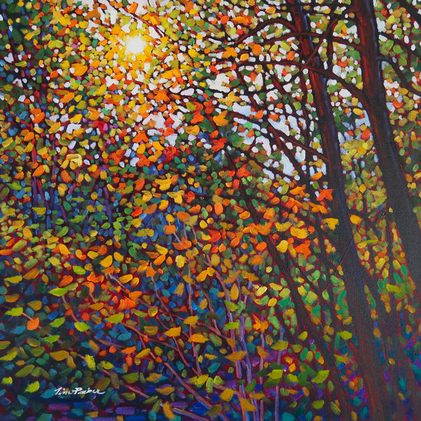 *ORIGINAL OIL* On the Bruce Trail 24" by 24"