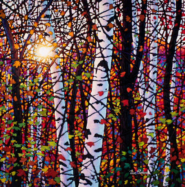 Birch Rhapsody 30" by 30"