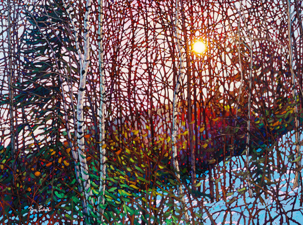 Morning Birches, Mont Tremblant 30" by 40"