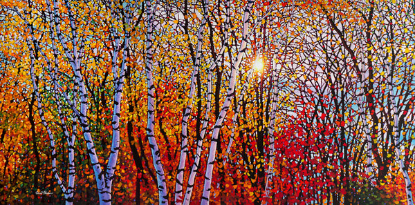 October Glory Afternoon Sun 36" by 72"