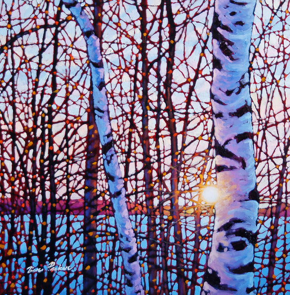 Shining Birches Lake Baptiste 18" by 18"